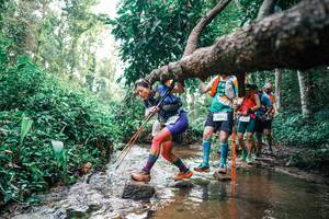 BIB: 
                            <button type="button" onclick="openModal(25370337)" class="btn btn-primary btn-sm float-right btn-popup" data-toggle="modal" data-target=".modal-high-quality">
                        <i class="fas fa-shopping-cart"></i> Add to Cart
                    </button>
                                            <button type="button" onclick="isThisMe(25370337, true)" class="btn btn-success btn-sm float-right btn-popup btn-isme hidden" data-toggle="tooltip" data-placement="bottom" title="นี่คือรูปของคุณใช่ไหม คลิกที่นี่เพื่อเอาเข้าอัลบั้ม">
                        <i class="fas fa-plus"></i> Add to album
                    </button>
                    <button type="button" onclick="isThisMe(25370337, false)" class="btn btn-warning btn-sm float-right btn-popup btn-isnotme hidden">
                        <i class="fas fa-ban"></i> Remove from album
                    </button>